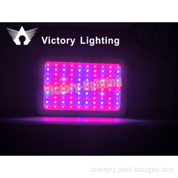 High-Power 100PCS Epistar 300W LED Plant Growth Light